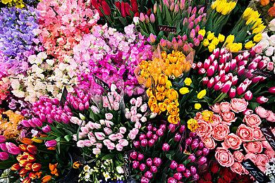 《群星》DLC“四海皆臣”5月12日上线 国区售价88元